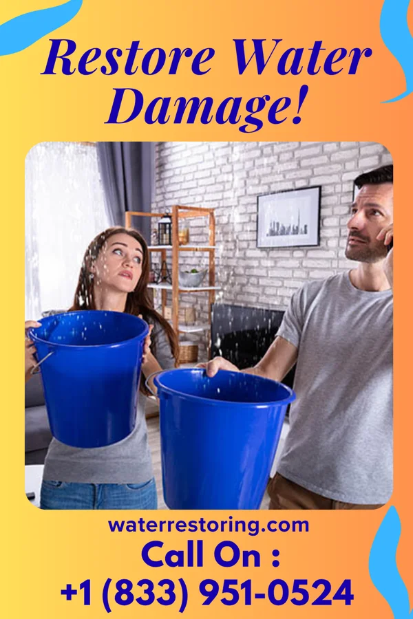 water restoration Peak Water Cleanup Network Egan