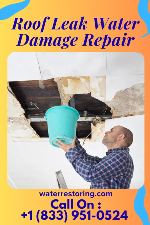 Roof Leak Water Damage Repair in Egan, SD