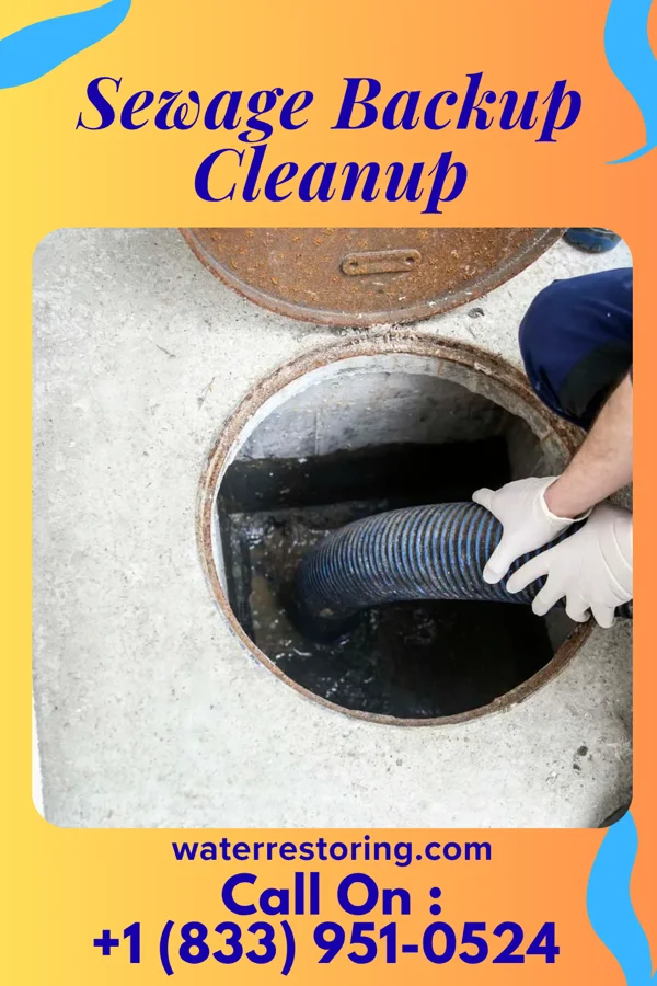 Sewage Backup Cleanup in Egan, SD