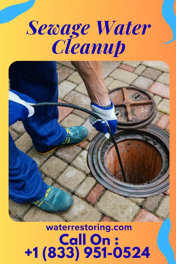 Sewage Water Cleanup in Egan, SD