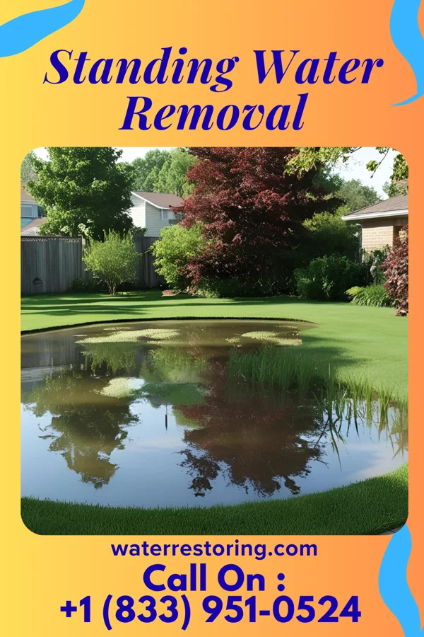 Standing Water Removal in Egan, SD